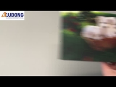 মুদ্রণ এসিপি